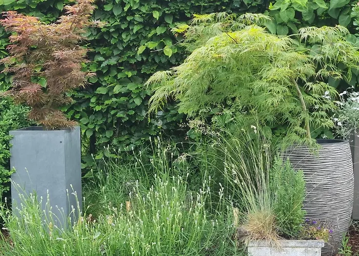 Pine Cottage- 5 Minutes Francorchamps - Charme -Piscine-Calme-Jardin
