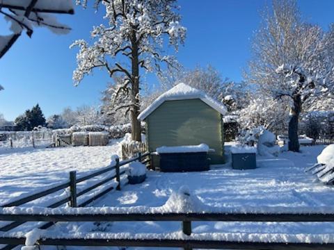 Pine Cottage- 5 Minutes Francorchamps - Charme -piscine-calme-jardin * Sart (Liege)
