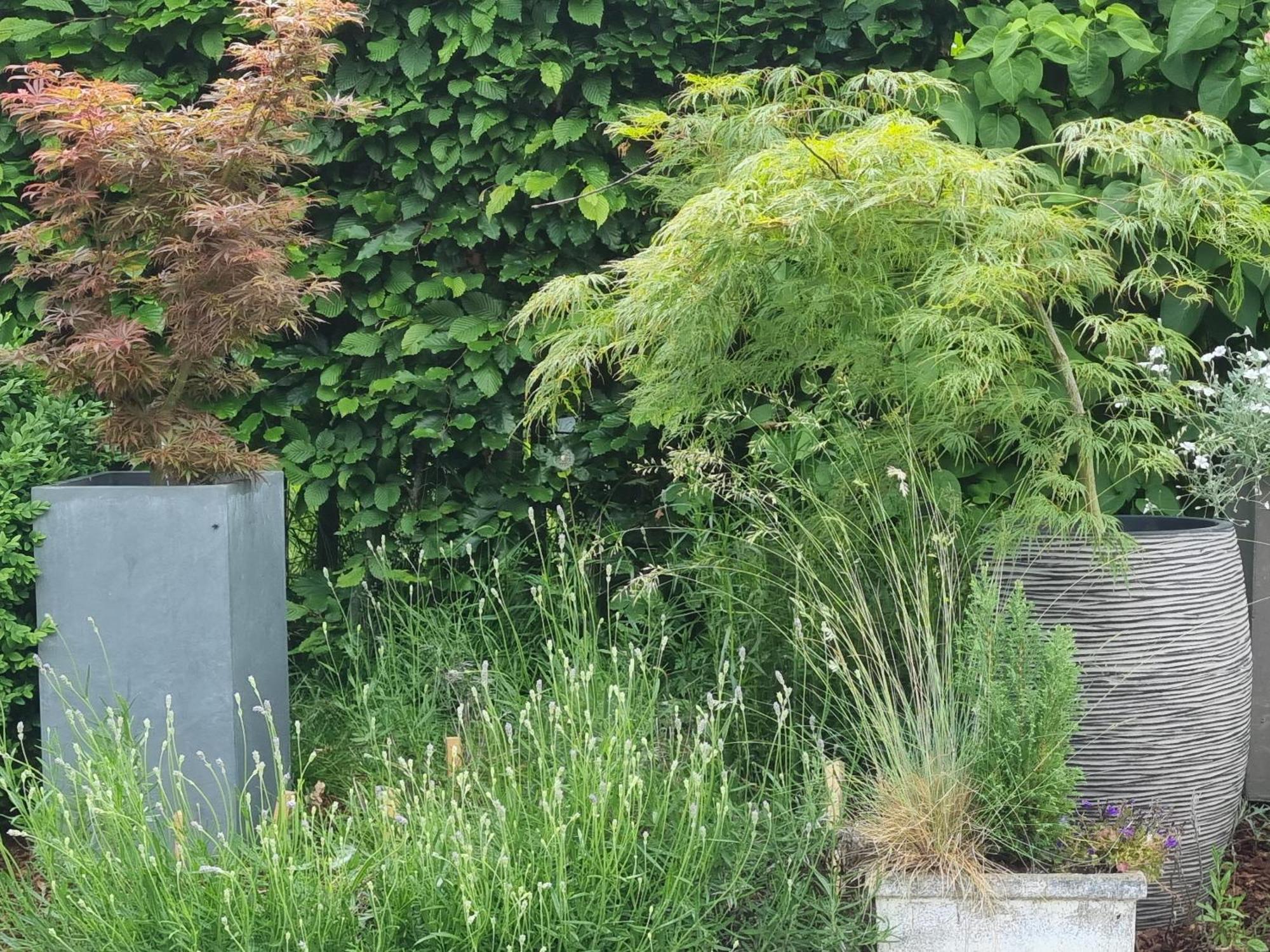 Pine Cottage- 5 Minutes Francorchamps - Charme -piscine-calme-jardin Appartement Sart (Liege)